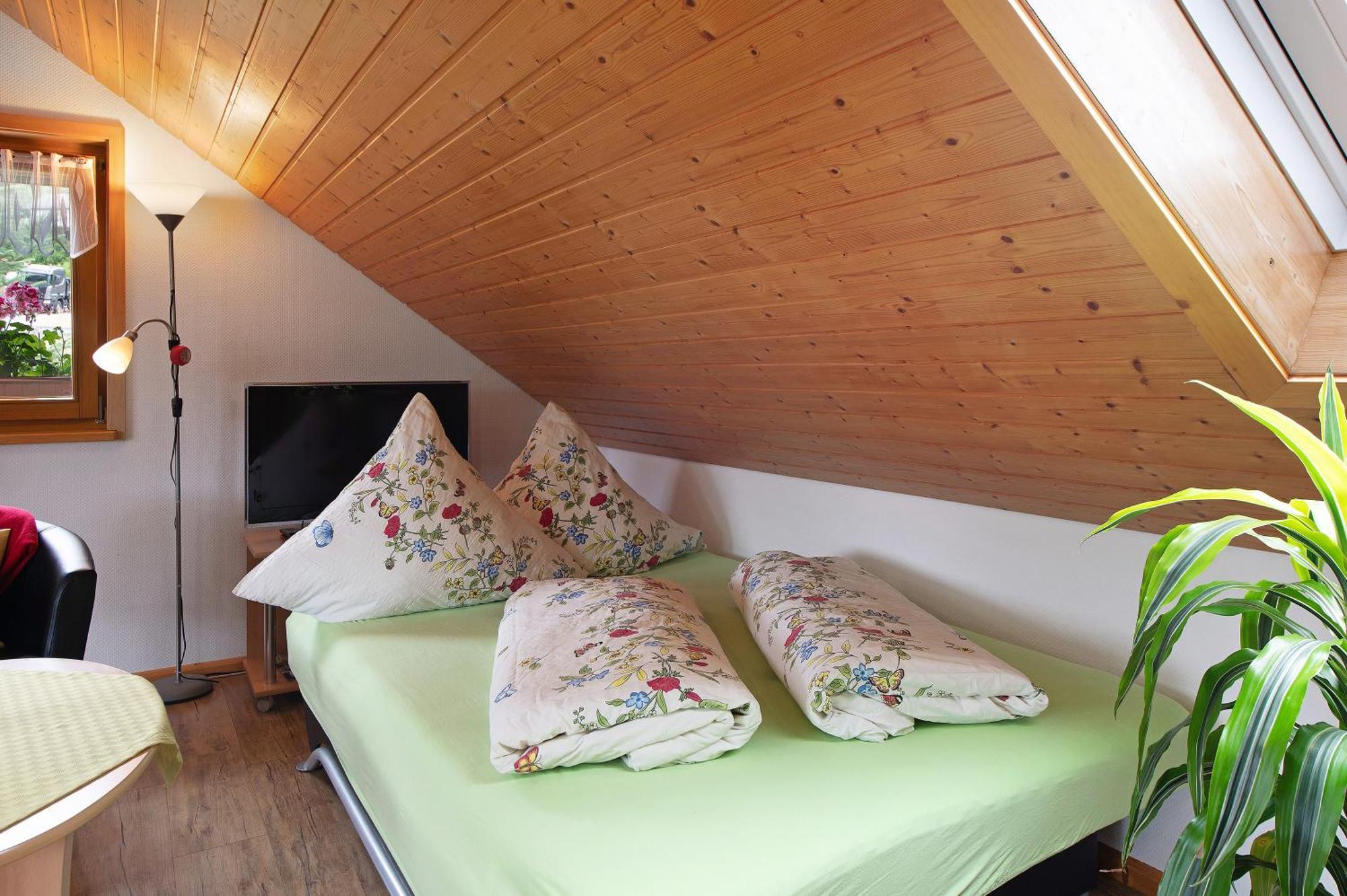 Ferienwohnung Blasi Mit Alpensicht Ibach Exterior photo